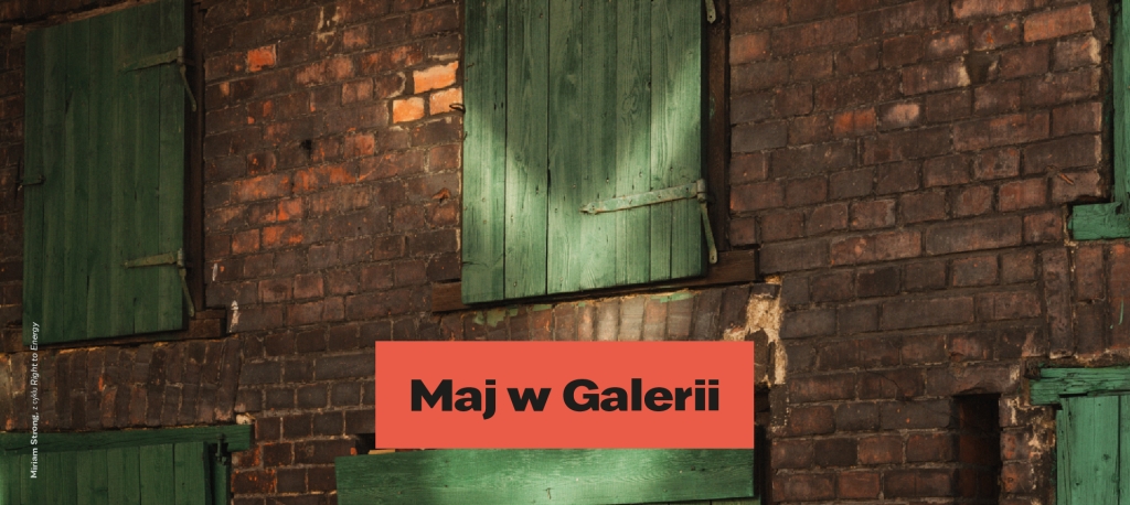 Maj w Galerii